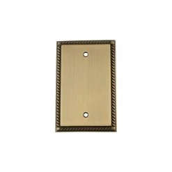 Brass No Gang Blank Plate Wall Plate (1-Pack) by Nostalgic Warehouse