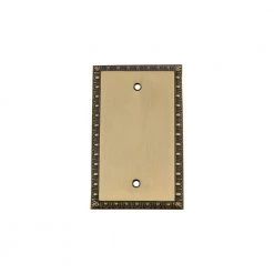 Brass No Gang Blank Plate Wall Plate (1-Pack) by Nostalgic Warehouse
